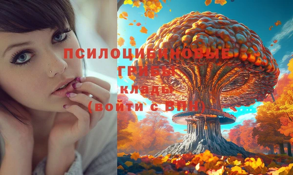 прущий лед Бронницы