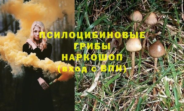 apvp Ступино