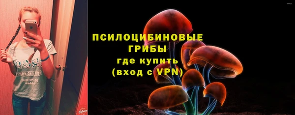 мескалин Бородино