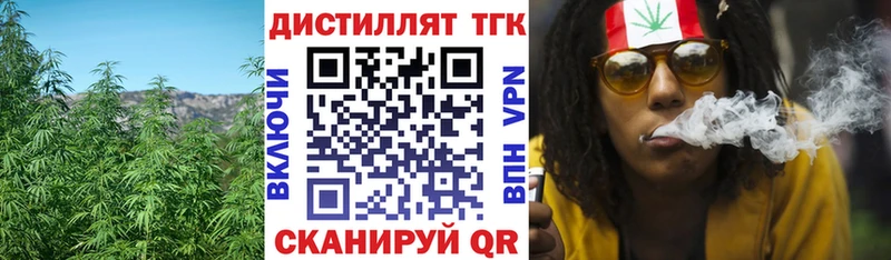 как найти закладки Новодвинск ТГК THC oil